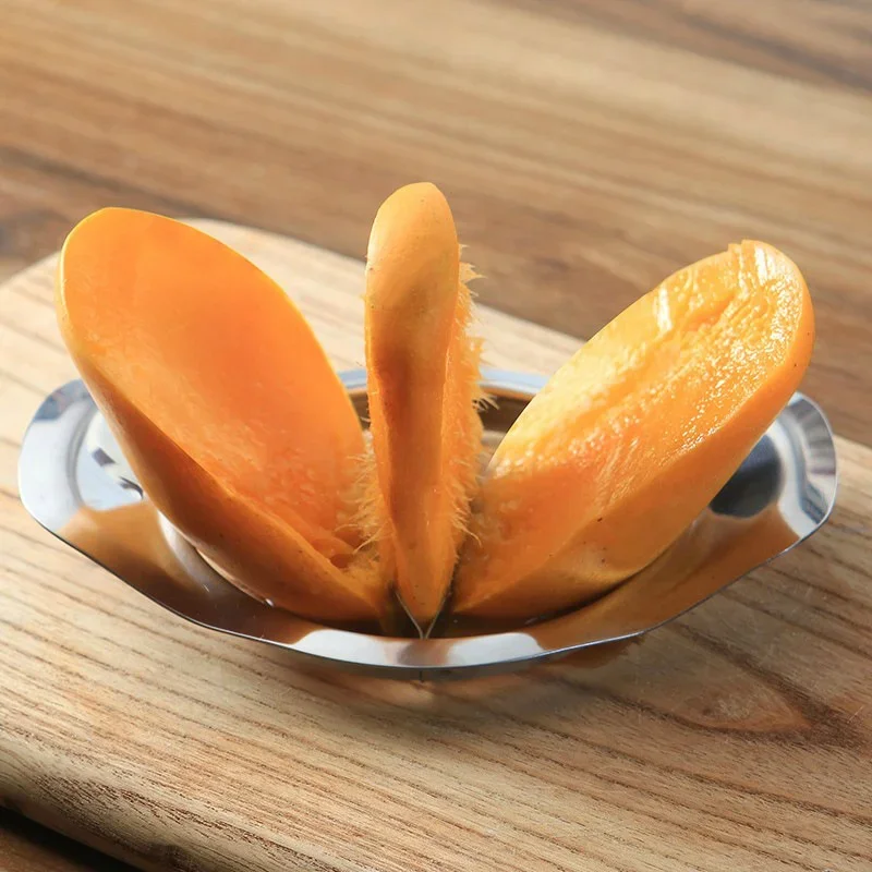 스테인레스 스틸 망고 커터 애플 슬라이서 야채 칼 Co - Apple Corer Slicer 리뷰 및 가격