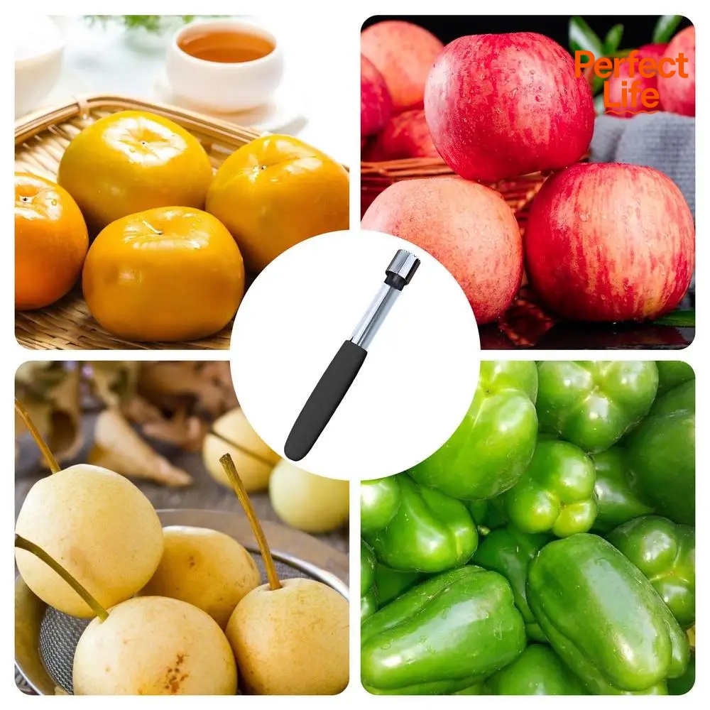 Apple Corer Pitter 배 벨 트위스트 과일 - Apple Corer Slicer 리뷰 및 가격